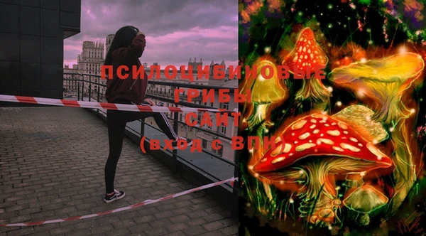 твердый Гусь-Хрустальный