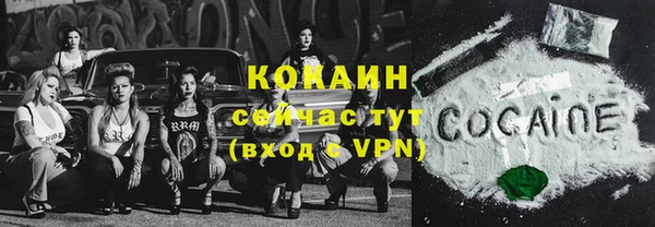 твердый Гусь-Хрустальный